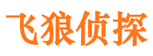 温县市调查公司